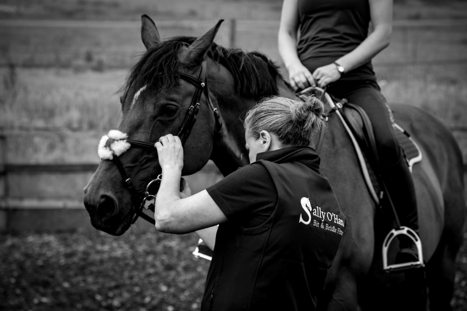 Sally giving a bit & bridle clinic